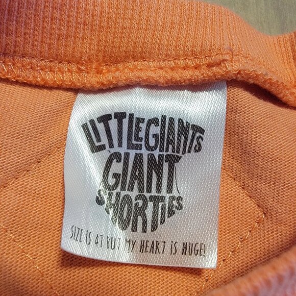 Represented BK To The Fullest T-Shirt 4T Little Giants Giant Shorties Notorious - Picture 4 of 8